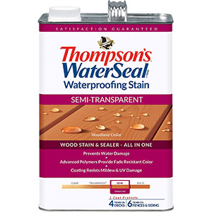 Thompson Waterseal Semi-Transparent Waterproofing Stain