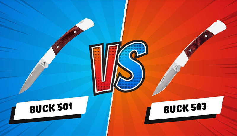 Buck 501 vs 503