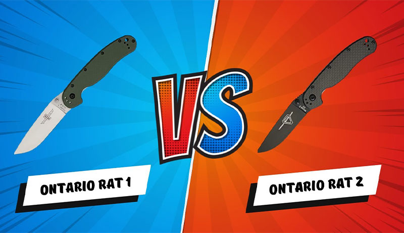 Ontario Rat 1 Vs Rat 2