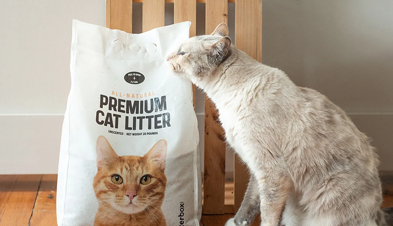 Best Clumping Litter for Litter Robot