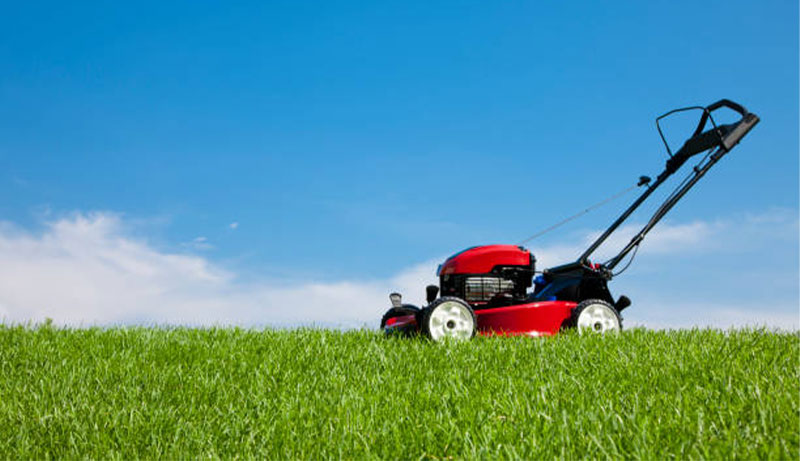 Best Lawn Mower For Rough Terrain