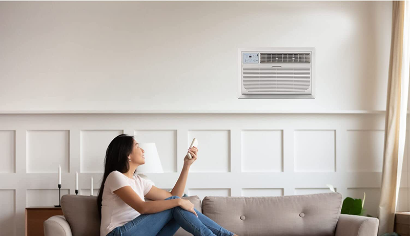 Best Wall Mounted Air Conditioner Heater Combo